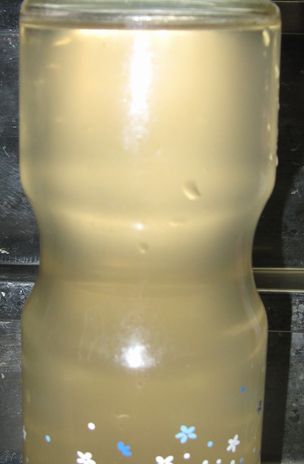 c0094218_855868.jpg