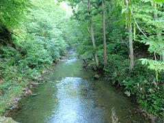 f0022024_954045.jpg