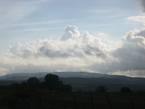 d0145528_177236.jpg