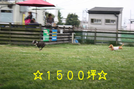 a0190132_23144837.jpg