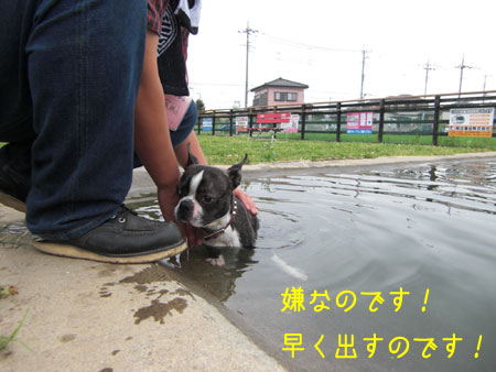 a0190132_23254020.jpg