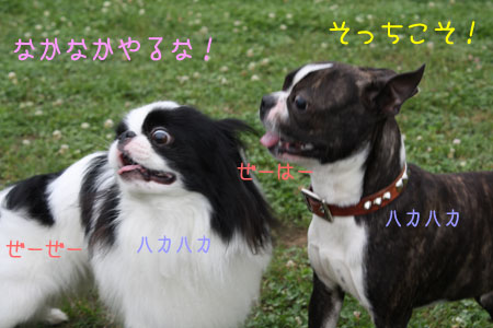 a0190132_23325411.jpg