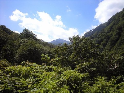 d0107938_12273366.jpg