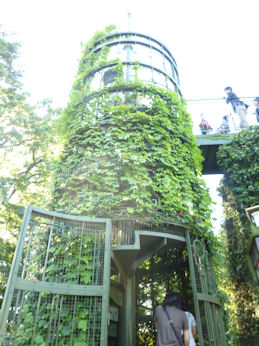 e0199344_0511929.jpg