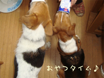 c0086746_1133636.jpg