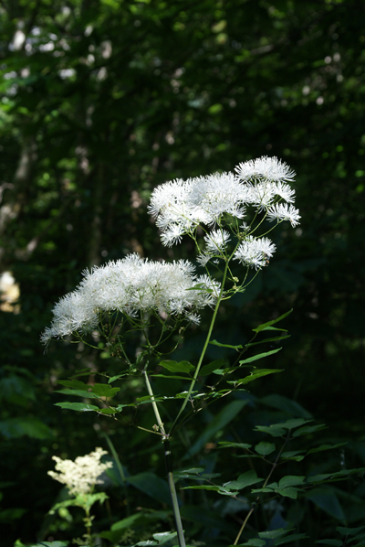 f0214649_9522999.jpg