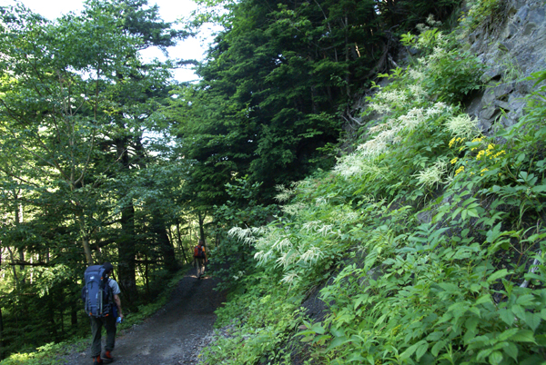 f0214649_959352.jpg