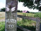 e0044657_1059772.jpg