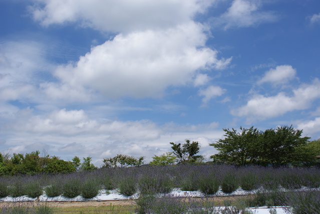 a0091666_17184591.jpg