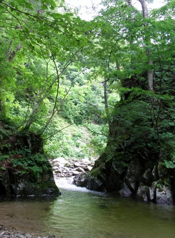 c0198267_7442981.jpg