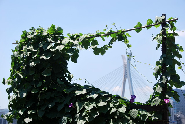 b0174068_05732.jpg