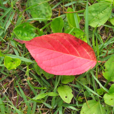 c0122670_2151760.jpg