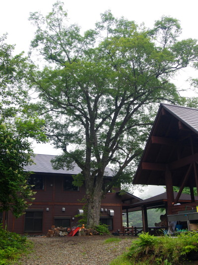 c0122670_21532321.jpg