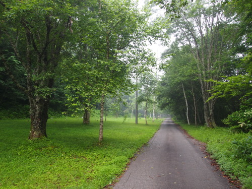 c0122670_21543241.jpg