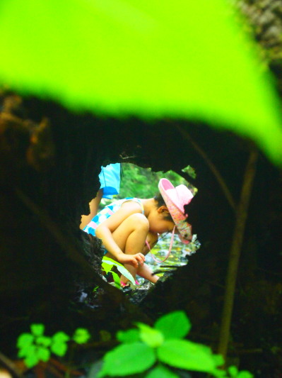 c0122670_21592176.jpg