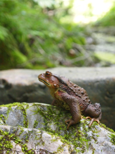 c0122670_2203838.jpg
