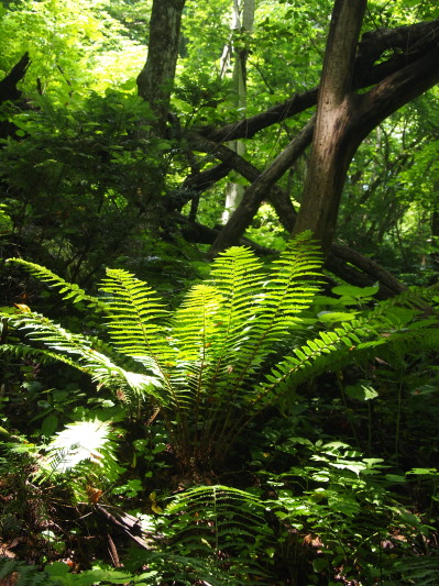 c0122670_2212357.jpg