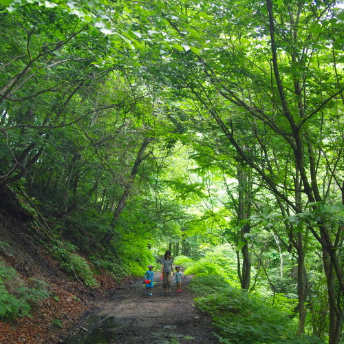 c0122670_2253443.jpg