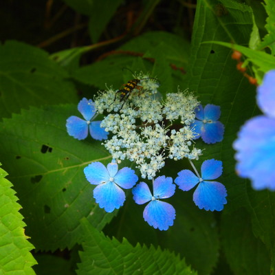 c0122670_2271470.jpg