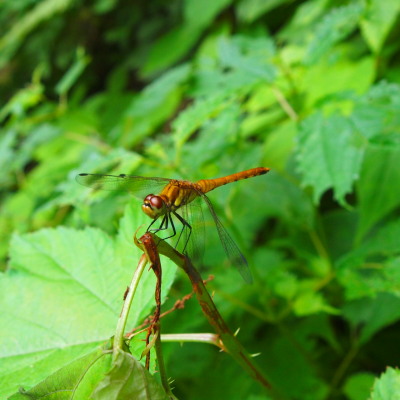 c0122670_227279.jpg