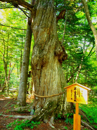 c0122670_2274759.jpg