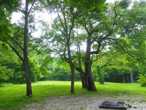 c0122670_6293780.jpg