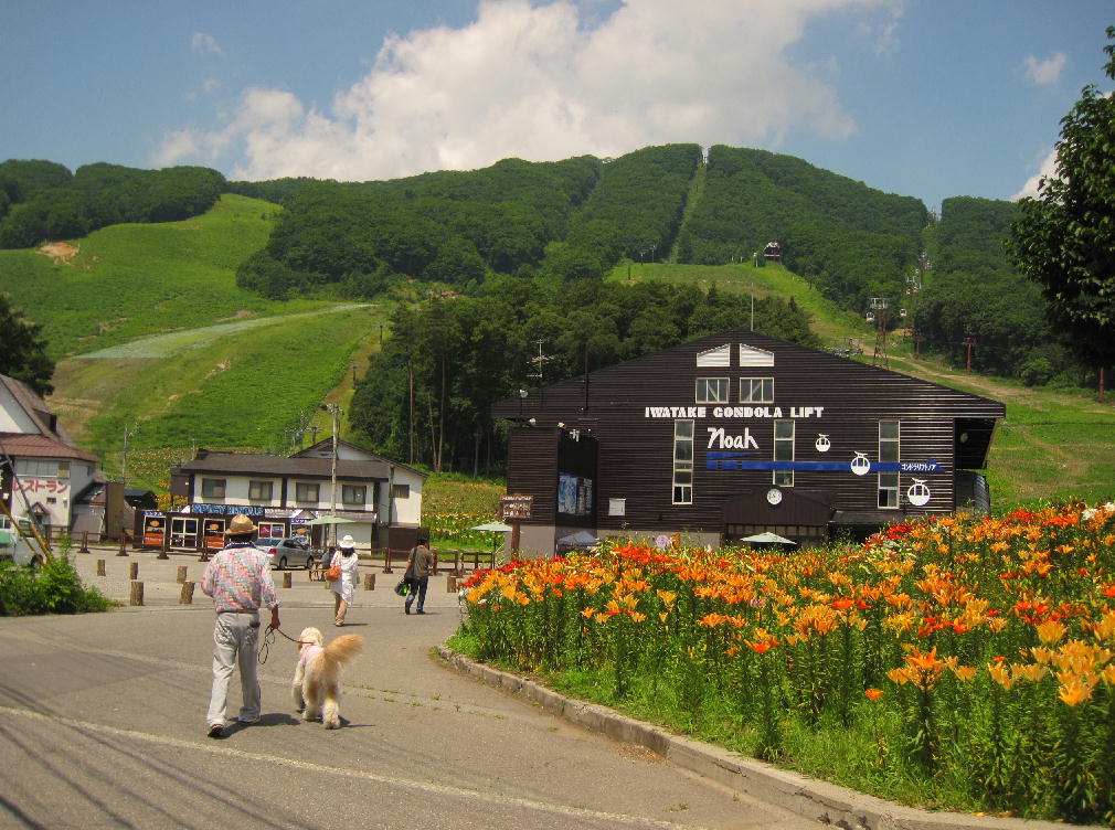 d0216270_17214079.jpg