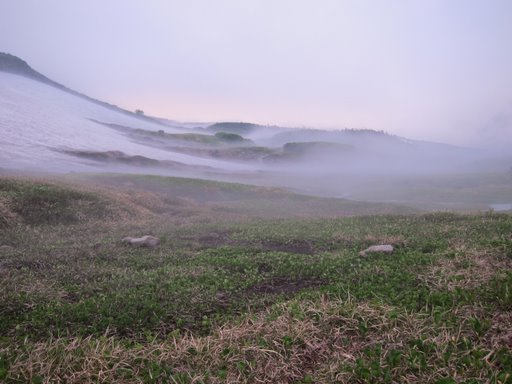 f0054075_6245860.jpg