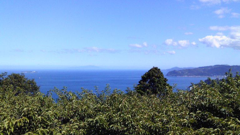 e0027681_234145.jpg