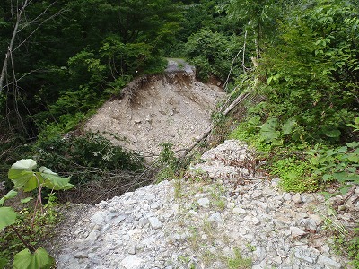 e0192884_1738493.jpg