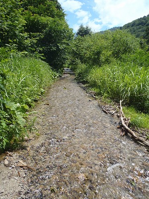 e0192884_17392690.jpg