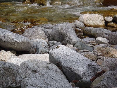 e0192884_17582726.jpg