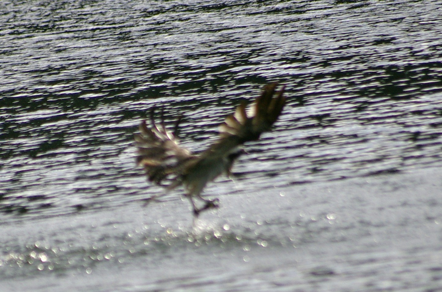 e0197884_21113725.jpg