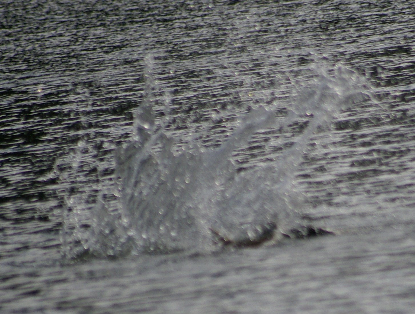 e0197884_2192964.jpg