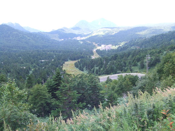 a0186689_7591671.jpg