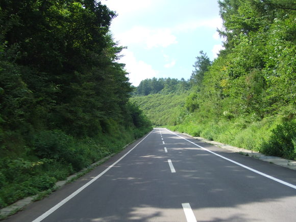 a0186689_8145595.jpg