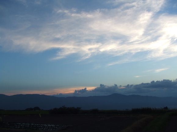 a0186689_972653.jpg