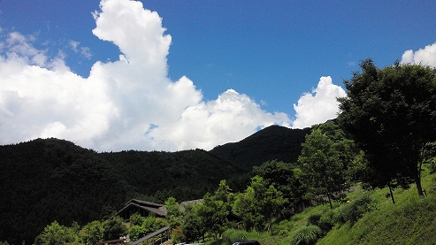 b0100489_8112968.jpg