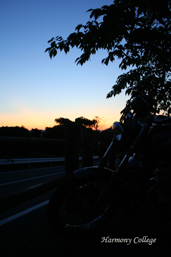a0116490_17282151.jpg