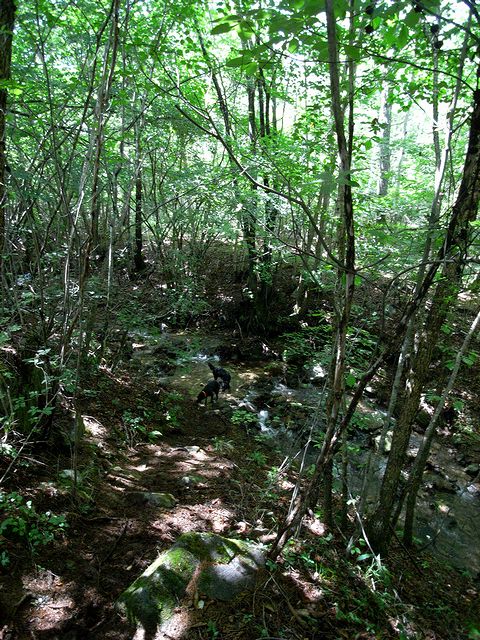 a0093592_0262398.jpg