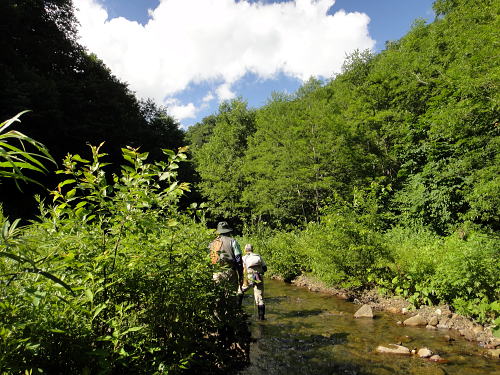 f0141392_2339064.jpg