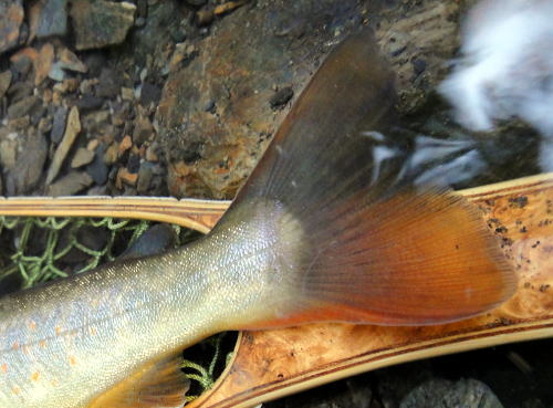 f0141392_2340525.jpg