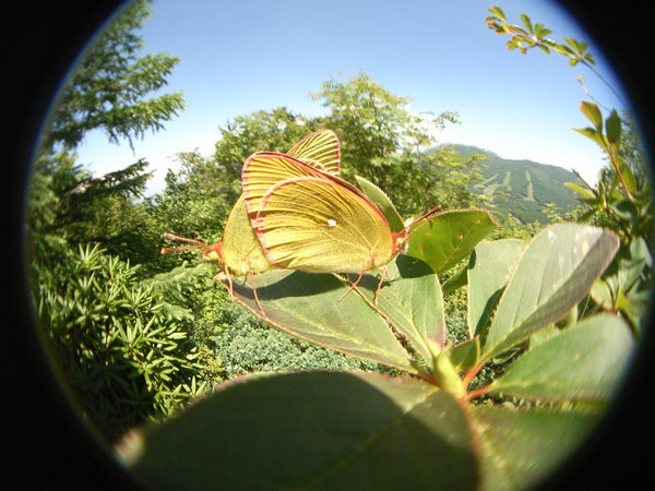 c0049095_2349250.jpg