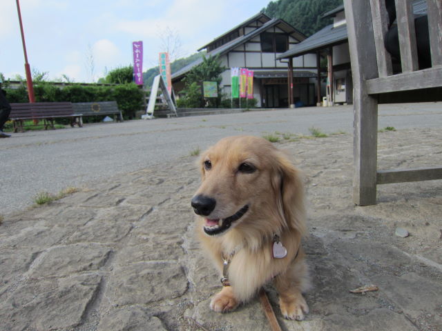 d0098295_0121481.jpg