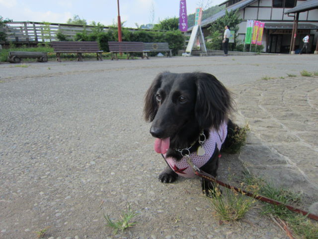 d0098295_0124917.jpg