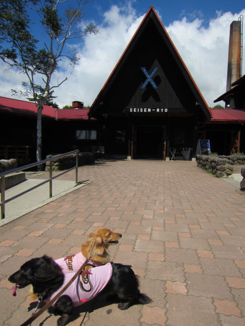 d0098295_0275737.jpg