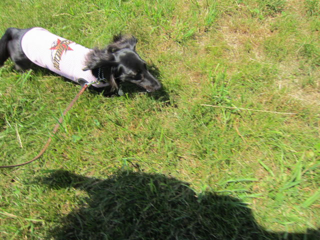 d0098295_0334051.jpg