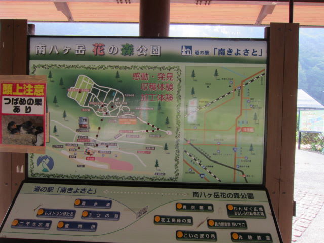d0098295_083210.jpg