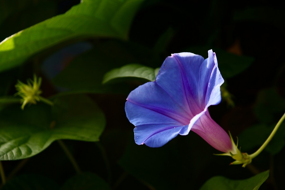 f0148098_9534116.jpg