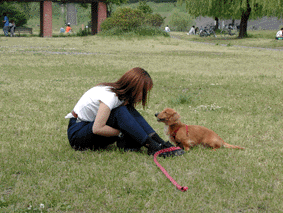 e0179308_22454592.gif
